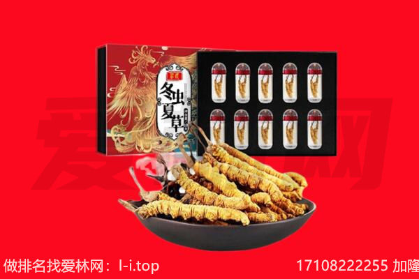 甘孜州德格回收虫草.jpg